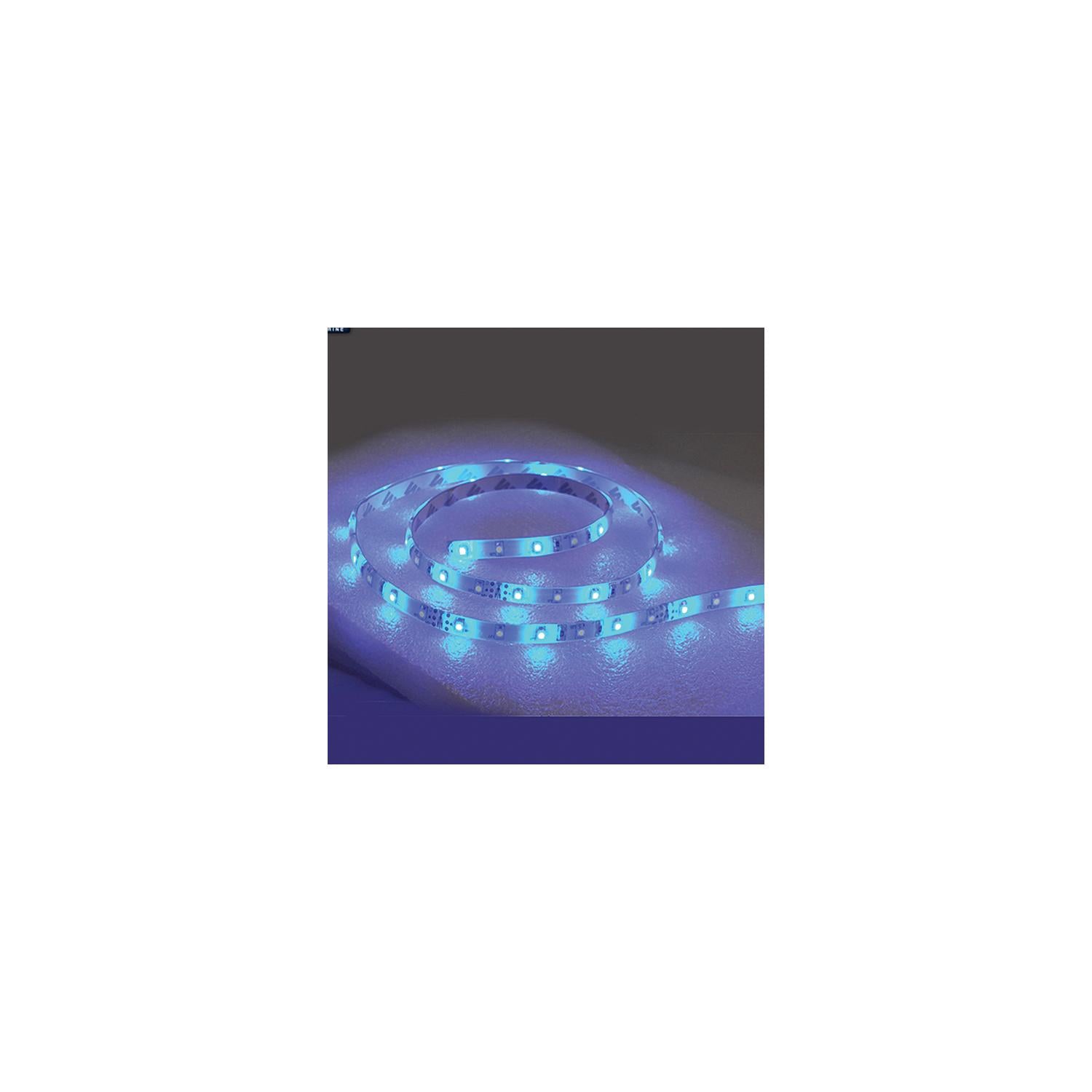 TH Marine LED-SM16-B-DP T-H Marine LED Flat Rope Lights