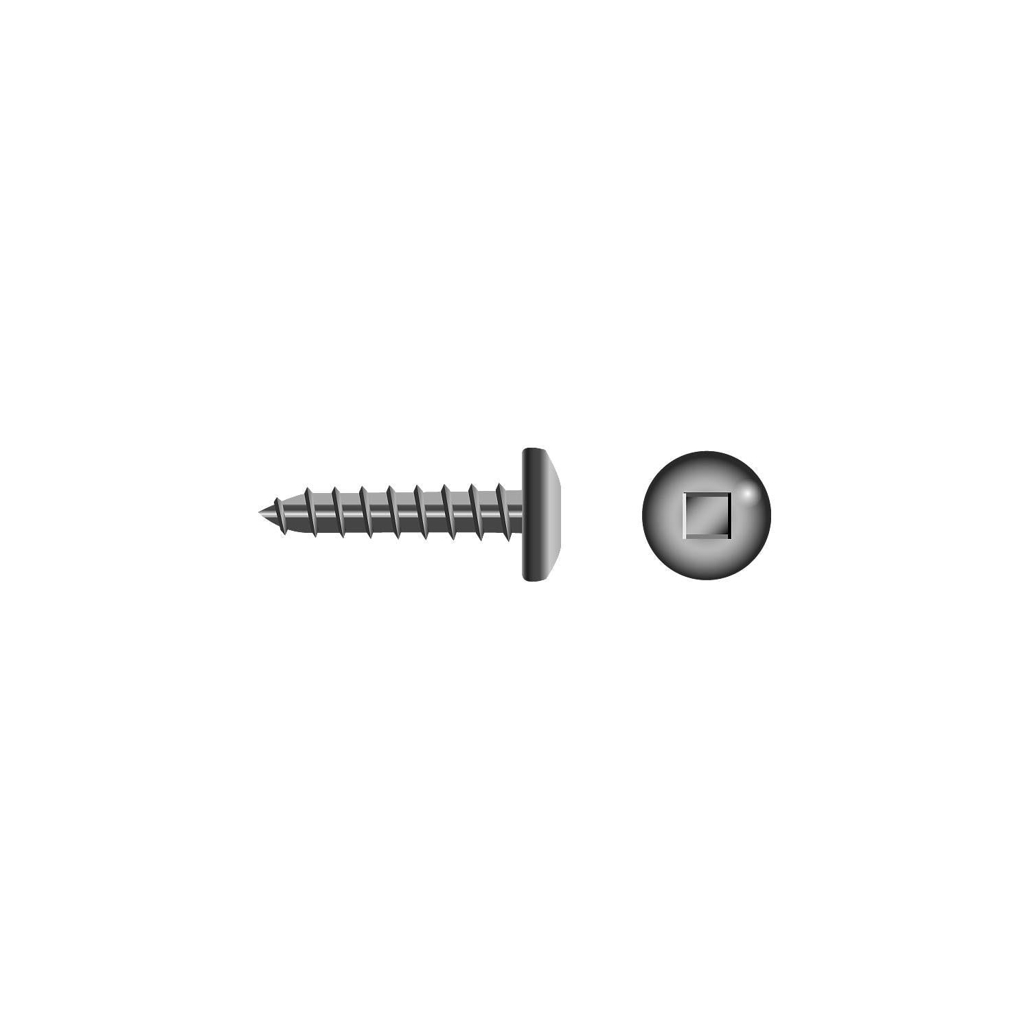Seachoice SC5209 Square Tapping Screw Pan Head, #10 x 1"