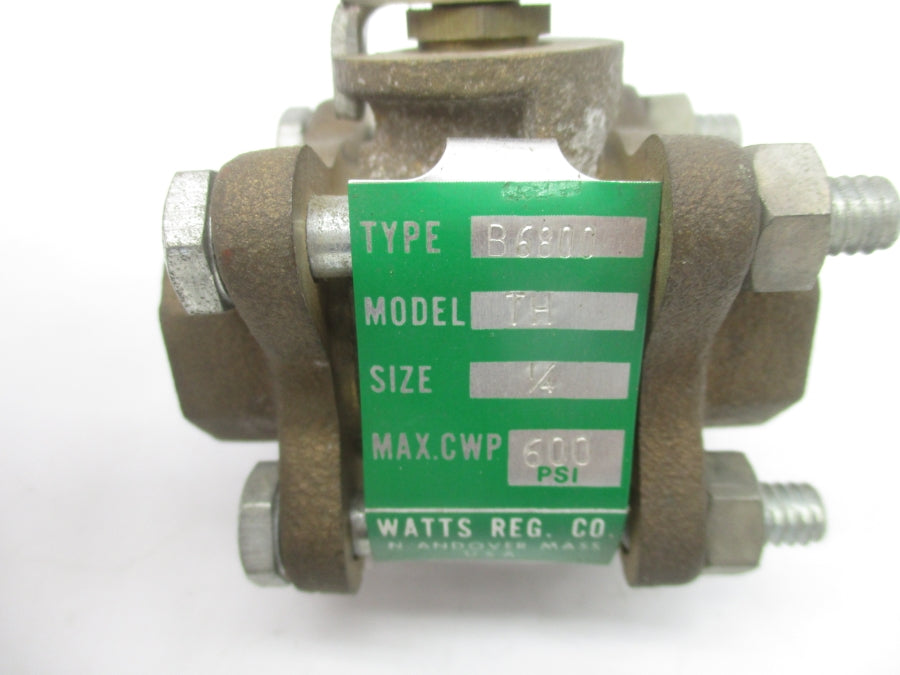 WATTS B6800 TH 600PSI 1/4" NSNP