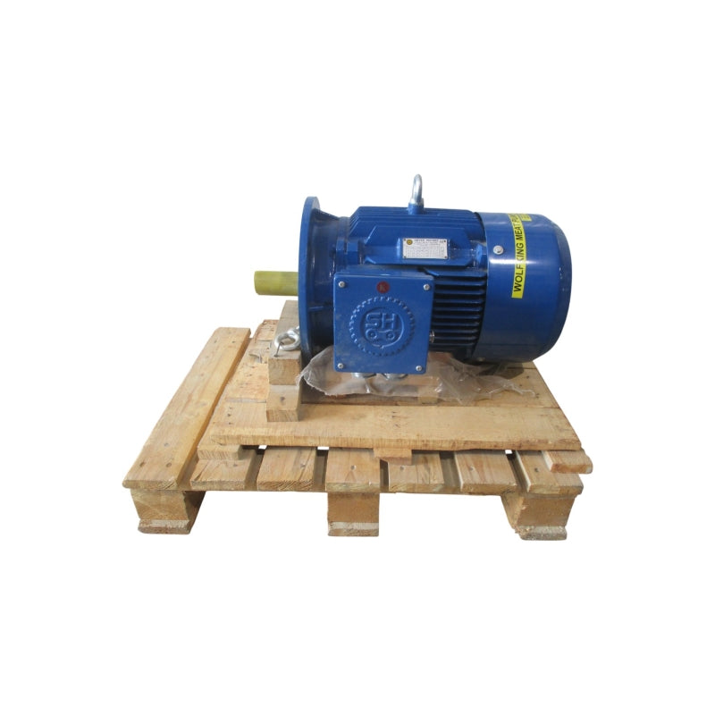 HOYER MOTORS Y2E2-160M-4 480/830V 21.4/12.4A NSNP