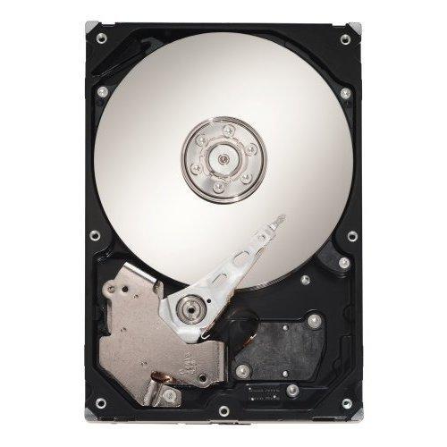 Seagate 300GB SAS 15K Rpm 3GB/S - ST3300656SS - AloinfoUSA