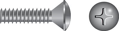 Seachoice SC3891 Phillips Machine Screw Oval Head, 5/16"-18 x 4"