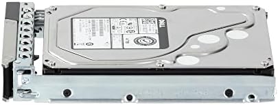 Dell 4TB 3.5" 7.2K NL SAS 12Gbs HDD (0F9W8) (Certified Refurbished)|B07GDS5ZH2