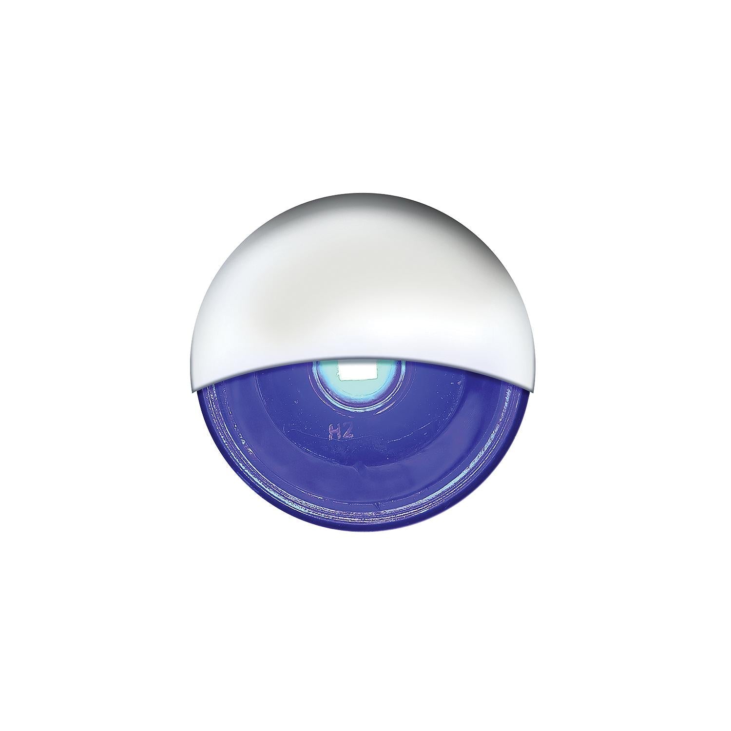 Seachoice 50-05491 Livewell Light, Mini LED Accent, Blue, Waterproof, 50, 000 Hours