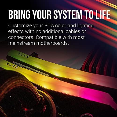 PNY XLR8 Gaming 32GB (2x16GB DDR4 DRAM 3200MHz (PC4-25600 CL16 1.35V RGB Dual Channel Desktop (DIMM Memory – MD32GK2D4320016XRGB