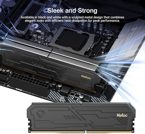Netac DDR4 DRAM 32GB Kit (2x16GB) 3200MHz XMP 2.0 Dual Channel RAM CL16 (PC4-25600) 1.35V 288-Pin Upgraded Aluminum Heat Sink Ideal for Gaming Computer Upgrade - Shadow III Series Black|B0G1MMT6FQ