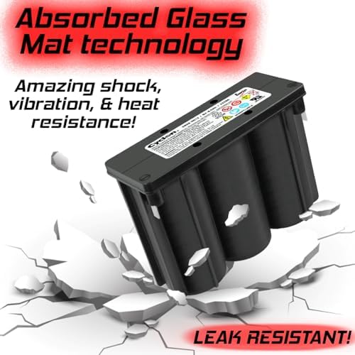 EnerSys 0859-0012 - 6V Lead Acid (NP/LCR/PS) Battery|B076Q4QLRR