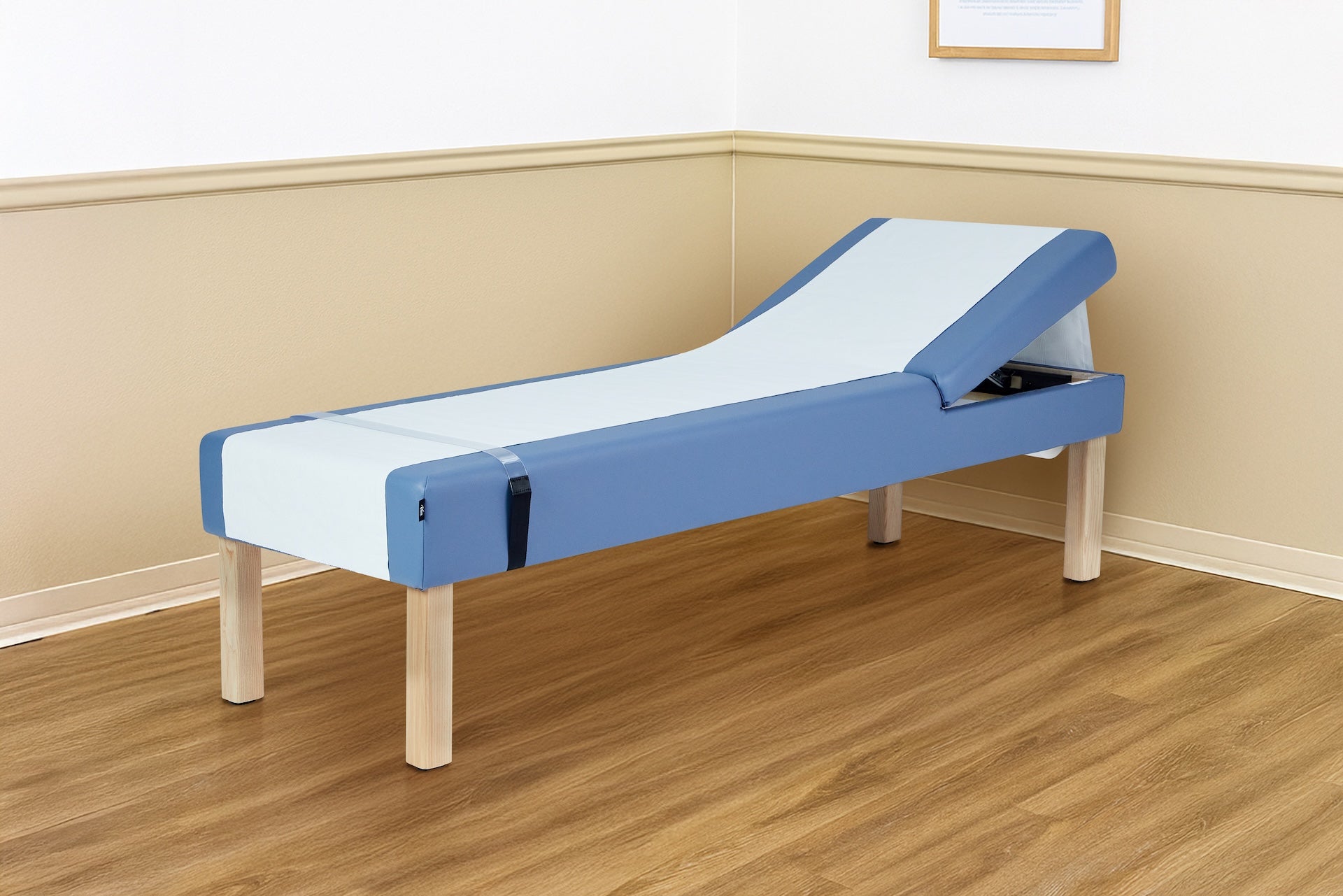 Lucas Recovery Couch w/ Adjustable Headrest & Antimicrobial Upholstery