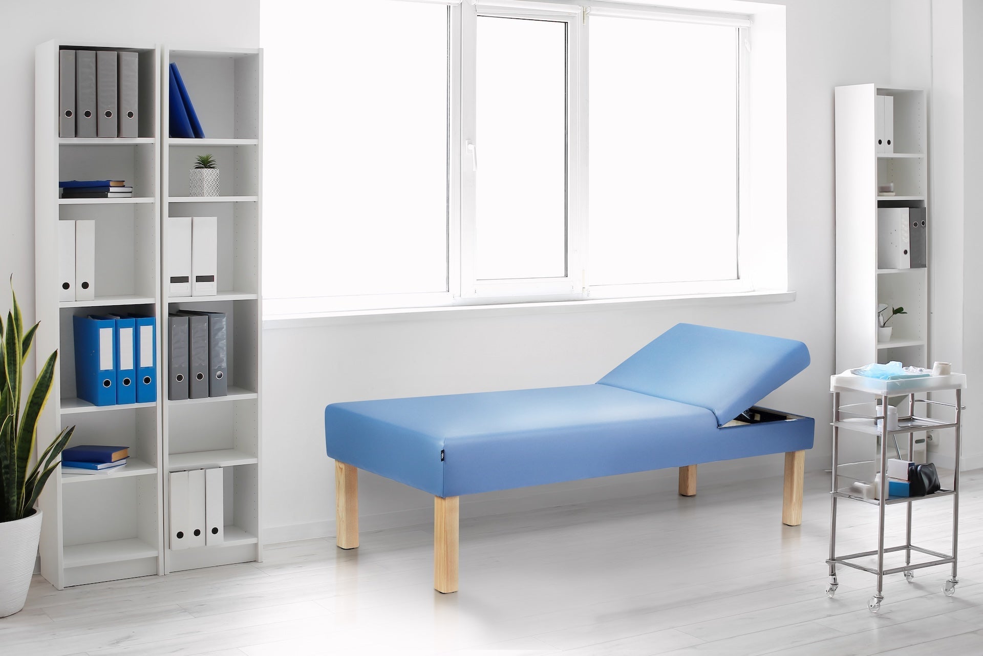 Lucas Recovery Couch w/ Adjustable Headrest & Antimicrobial Upholstery