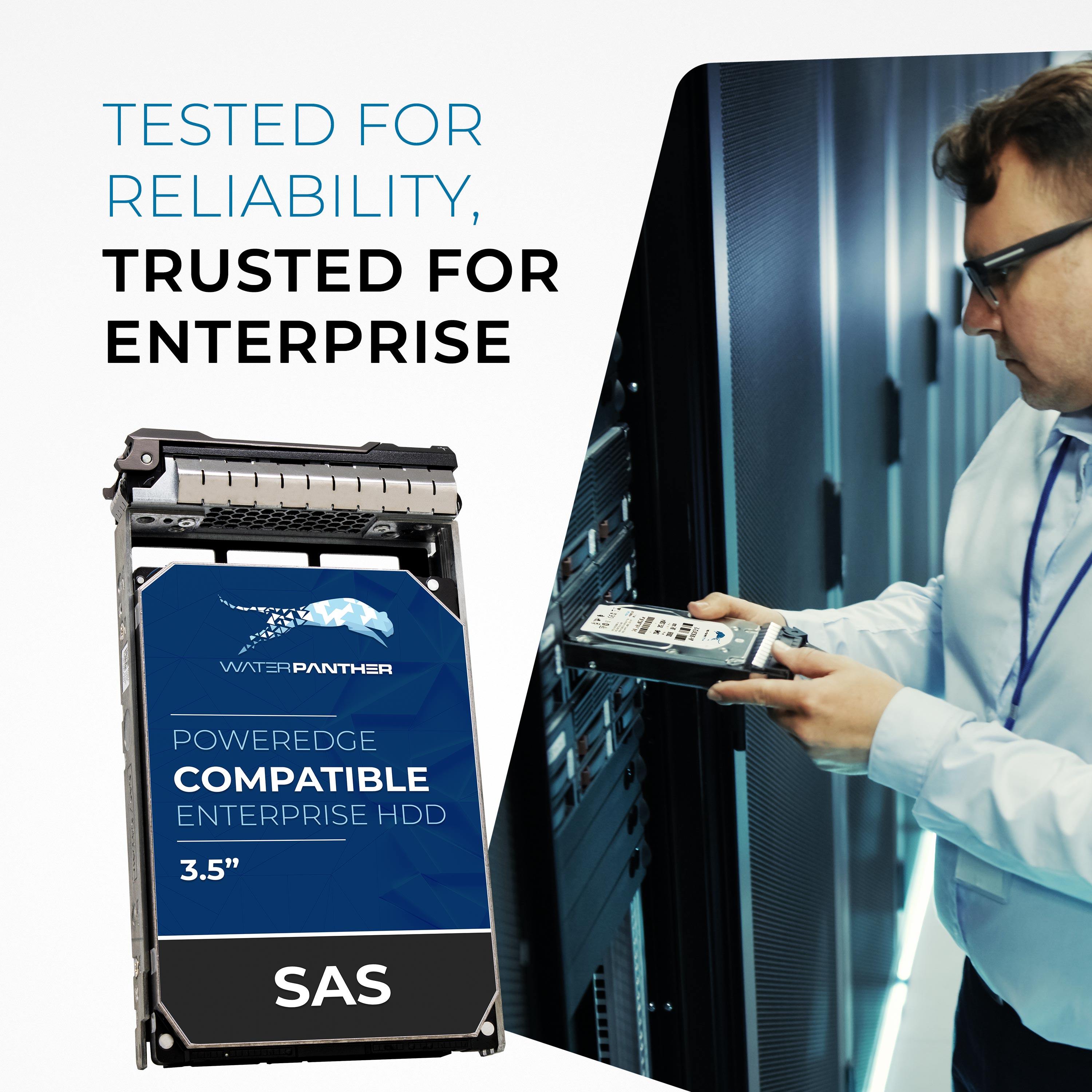 12TB SAS 12Gb/s 7.2K RPM 3.5" HDD for Dell PowerEdge Servers | Enterprise Drive in 13G Tray