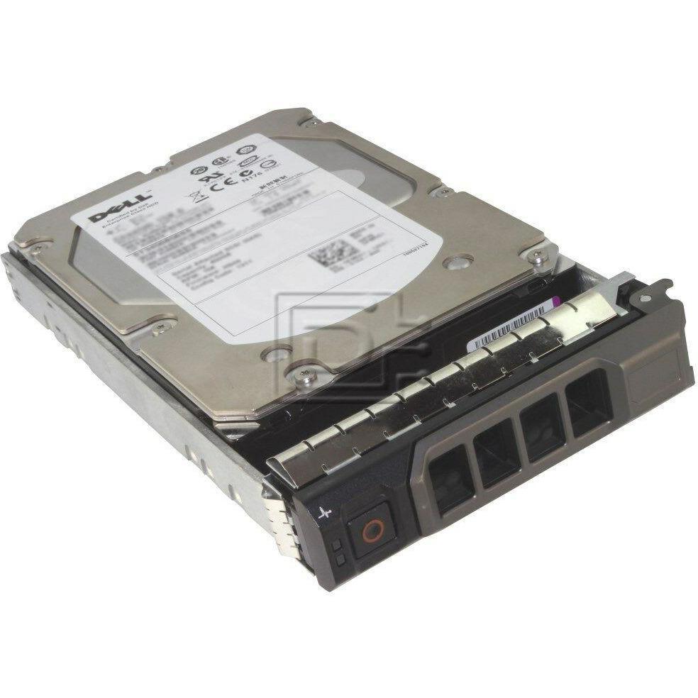 Dell 342-2340 3TB 7.2K 6.0 Gb/ps Near Line SAS Hard Drive F238F Kit R720 R610 884116170808 - AloinfoUSA